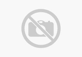 Seat Ibiza 1.0 TSI FR 110PS 18´´Alu ACC Totwinkel Kessy PDC Kamera VirtualC. Voll-LED Navi Beats Sitzheiz